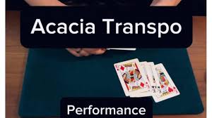 Keito K – Acacia Transpo