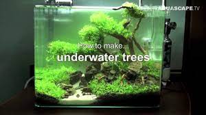 Designing an aquascape can be challenging. Aquascaping How To Make Trees In Planted Aquarium Youtube