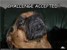 Challenge Accepted Puppy Dog Pictures Dog Pictures Funny Dog Pictures