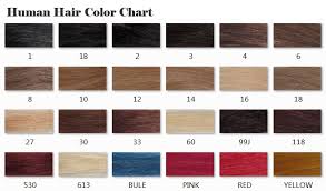 remy human hair color chart extensions for hair loss