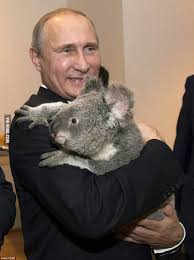 Did you know that president obama watches anime. Vladimir Putin Hugs A Koala Bear At G20 Summit 9gag