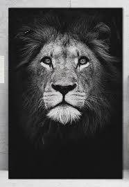 Black And White Lion Canvas Print Lion King Canvas Wall Art Hd Portrait Beautiful Wall Arts For Living Room Decor Black And White Lion White Lion Lion Canvas