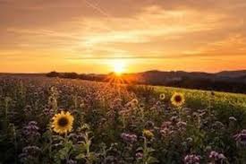 Last day of the official add/drop period; Summer Solstice 2020 All You Need To Know About The Longest Day Of The Year