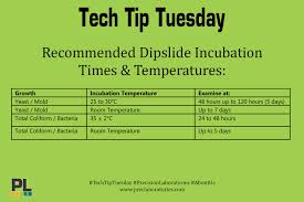 Temperature And Its Effect On Bacterial Growth Tips Tech