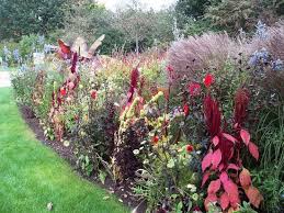 Der park der gärten befindet sich auf dem ehemaligen gelände des niedersächsischen. Park Der Garten Picture Of Park Of Gardens Bad Zwischenahn Tripadvisor