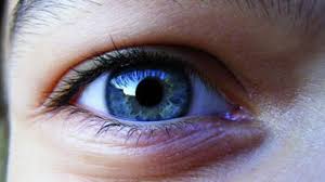 Oku has 21 consonant phonemes. Jak Se Kali Zrak Casopis Vital