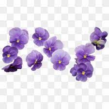 64 Images About Flower Png On We Heart It Purple Flower Bouquet Png Transparent Png Flower Bouquet Png Flower Png Images Blue Flower Png
