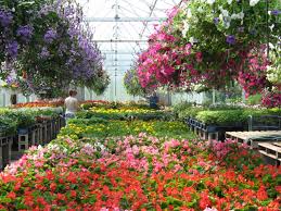 Learn vocabulary, terms and more with flashcards, games and other study tools. April Fool Garden Fun In The Spring Silly Season Buy Trees Shrubs Perennials Annuals House Plants Statues And Furniture