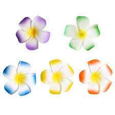 Aloha beautiful 😊 thanks for wandering here. Pretyzoom 20pcs Hawaiian Plumeria Flower Hair Clips Hair Pins Hawaiian Ninthavenue Europe
