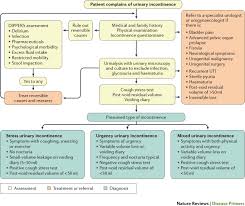 Urinary Incontinence In Women Nature Reviews Disease Primers
