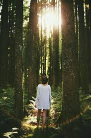 Ofelia In Mateo S Nightmare Forest Photography Nature Photography Pictures