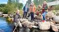 Political Pressure Mounts for Fish Passageway in Ljungan River