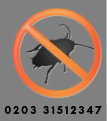 Affordable pest control provides services to rid your home or office of general pests and insects. Pest Control Kingston Upon Thames