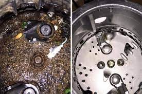 We did not find results for: 9 Ways To Get Rid Of Garbage Disposal Smells