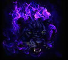 We did not find results for: Neon Panther Animal Wallpapers Wallpaper Cave