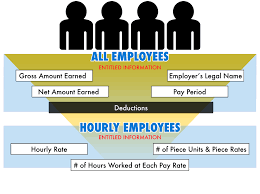 Wage And Hour Claims Wage Theft Payroll Lawyer