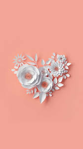 Iphone Floral Background Wallpaper 21 White Flower Wallpaper Flowers Photography Wallpaper Floral Wallpaper