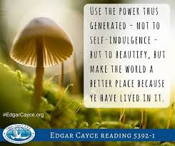  24 The Sleeping Prophet Ideas Edgar Cayce Cayce Edgar