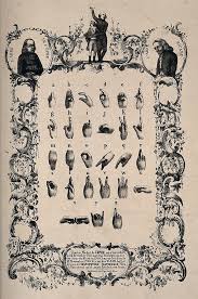 Like many european languages, the french alphabet is similar to the english alphabet. Datei The French Sign Language Alphabet With Ornate Border Above Wellcome V0016556 Jpg Wikipedia