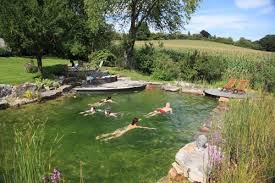 Pin By Rena Nightfall On Swimming Pool Ideas Natural Swimming Ponds Natural Pond Pool Landscaping