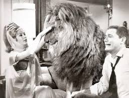 Wed in 1958 — became the parents of their beloved child on august 29, 1965. Barbara Eden Playing With A Huge Lion On The Set Of I Dream Of Jeannie 1965 9gag