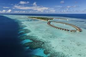 Discover sea of stars in vaadhoo, maldives: Pullman Maldives All Inclusive Resort Maamutaa Updated 2021 Prices