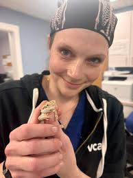 About — Maine Veterinary Technician Association