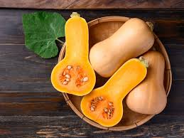 Image result for Cucurbita moschata