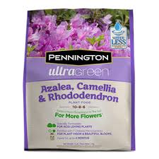 Feed Azalea Camellia Rhododendrons With Pennington Ultragreen S Specially Formulated Plant Food Rhododendron Plant Plant Nutrients Plant Food