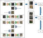 Application of an improved U-Net with image-to-image translation ...