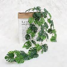 We did not find results for: Nordic Imitasi Monstera Daun Rotan Hiasan Dinding Daun Hijau Tanaman Simulasi Bunga Palsu Dekorasi Rumah Pernikahan Dekorasi Tanaman Buatan Aliexpress