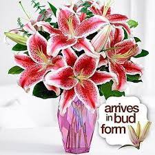 15 Unique Gift Ideas For Women That They Will Love Lily Flower Flower Arrangements Simple Stargazer Lily