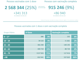 Aos dados diários com os totais de vacinação é somado um relatório semanal com mais detalhes. Um Em Cada 11 Portugueses Ja Tem Vacinacao Completa Contra Covid Coronavirus Jornal De Negocios