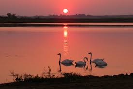 Hotels near des moines airport (dsm) motels near des moines airport (dsm). Lake Anita State Park Ia Lolo S Extreme Cross Country Rv Trips