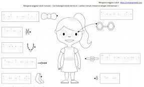 Pin Di Worksheet Anggota Tubuh