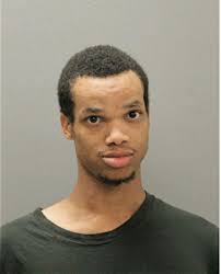 ᐅ Illinois Criminal Records 2009-2025