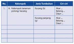 Artikel ini dibuat untuk mempermudah siswa dalam mengerjakan soal soal yang terdapat didalam buku siswa, diharapkan dengan adanya kunci jawaban. Kunci Jawaban Ipa Kelas 7 Halaman 44 45 Ayo Kita Lakukan Kegiatan 2 5 Wali Kelas Sd