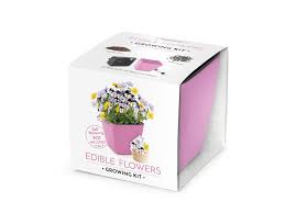 Growing a sunflower in a pot is an easy project that even small children can enjoy.1 x research source. Domestico Edible Flowers Growing Kit Pink All In One Set Self Watering Plant Pot 13x13 Cm Tested Seeds Fresh Substrate With Nutrients Buy Online In Antigua And Barbuda At Antigua Desertcart Com Productid 90124004