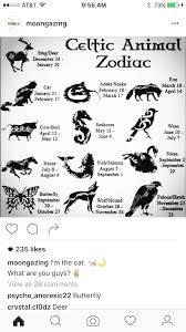 I Ve Always Been Told I M Like A Cat Now It S Really True Celtic Animals Celtic Zodiac Celtic Symbols