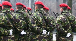 Se fac angajări în armată. Cum ComenteazÄ Mapn InformaÅ£iile Despre Robert Turcescu