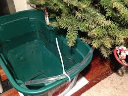 5 Weird Easy Ways To Water Your Christmas Tree Christmas Ideas Wonderhowto