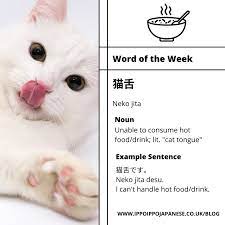 Word of the Week: 猫舌 (neko jita)