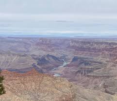 Profile for Michele Rubenstein