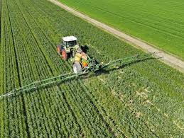 bayer aktie