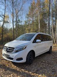 Image result for Bergkristallweiss 2015 Vito