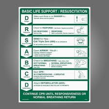 Cpr Wall Chart 600 X 450mm Poly