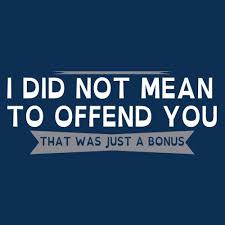 I Did Not Mean To Offend You That Was Just A Bonus T Shirt Funny Inspirational Quotes Funny Quotes Funny Tshirts