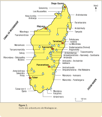 Madagascar est l'une des îles de l'océan indien, appelée aussi « île rouge » à cause de la géologie de son sol qui est fortement composée de latérite. Figure 2 From Evaluation Preliminaire Des Risques D Invasion Par Les Essences Forestieres Introduites A Madagascar Semantic Scholar