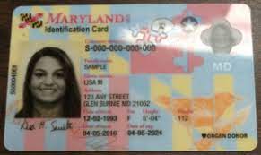 A maryland identification card is an official document with your picture. Mvaidcards