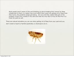 Remember that the flea bites are an important signal of the future increase of fleas at your place, because according to the national park service us, females deposit eggs in groups of 1 to 18 on the host after a blood meal. How To Get Rid Of Fleas In Your Yard